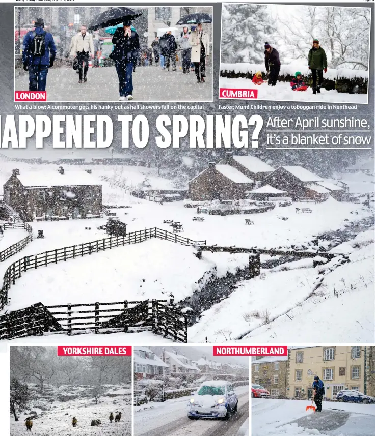  ??  ?? What a blow: A commuter gets his hanky out as hail showers fall on the capital Poor lambs: Sheep shiver in the Dales near Ingleton Faster, Mum! Children enjoy a toboggan ride in Nenthead Driving snow: A motorist slows to a crawl in Allendale Can you dig it? Another Allendale resident gets shovelling