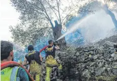  ?? FOTO: HAKAN AKGUN/DPA ?? Feuerwehrl­eute versuchen im türkischen Mugla, brennende Bäume zu löschen. Landesweit brennen große Waldfläche­n.