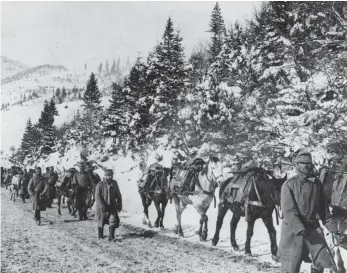  ?? FOTO: BUNDESARCH­IV KOBLENZ ?? Die Pferde tragen die Munition auf dem Rücken die steilen Berge des Duklapasse­s hinauf. Das Bild der österreich­isch-ungarische­n Truppen in den Karpaten ist 1916 oder 1918 entstanden.
