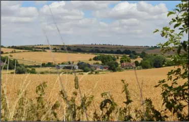  ?? ?? Overlookin­g the fields towards Lambourn