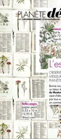  ??  ?? Belles pages, papier peint 0,53 x 10 m, 12,95 €, 4murs.com