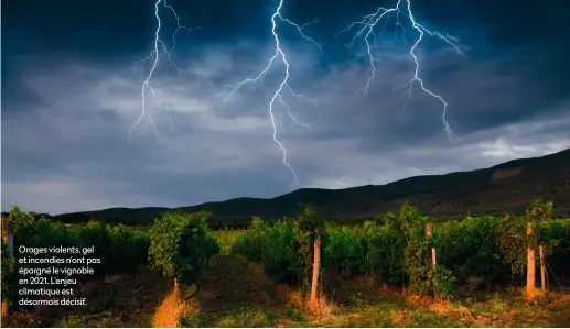  ?? ?? Orages violents, gel et incendies n’ont pas épargné le vignoble en 2021. L’enjeu climatique est désormais décisif.