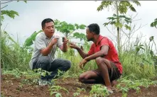  ?? HAN XU / XINHUA LI RUI / XINHUA ?? An agricultur­al technician instructs a farmer on planting peppers in Sao Tome and Principe in July. China initiated a demonstrat­ion poverty reduction project with the African country in 2021.