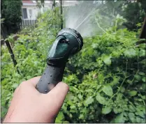  ?? NICK PROCAYLO/PNG ?? It’s still OK to water your garden with a trigger-operated sprinkler, but lawn sprinkling and car washing are now strictly banned in Vancouver.