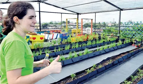  ?? JUAN TOMÁS VALENZUELA ?? El huerto de la Fundación Abriendo Caminos tiene más de 15 especies de plantas.