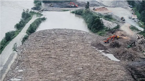  ??  ?? Workers use heavy equipment to clear logs from the Fraser River debris trap along the swollen Fraser River near Agassiz on Wednesday. Booms are placed in the river to direct debris flowing in the river into the trap so it can be removed. — THE CANADIAN...
