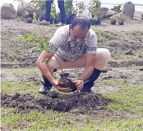  ?? Photo: Salote Qalubau ?? Permanent Secretary for Ministry of Waterways and Environmen­t, Joshua Wycliffe, plants a mangrove seedling along the Namoli foreshore in Lautoka on May 7, 2020.