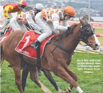  ?? ?? Nev's Boy, with Codi Jordan aboard, wins at Elwick two starts back. Picture: Peter Staples