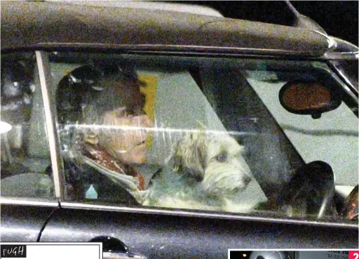  ?? ?? Paw show: Jeremy Irons driving with his mongrel Smudge on his lap