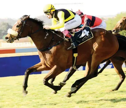  ??  ?? SCARY: There were some anxious moments for Cathedral County’s supporters at Turffontei­n on Saturday, but jockey Gavin Lerena brought Johan Janse van Vuuren’s charge home safely in Race 6.