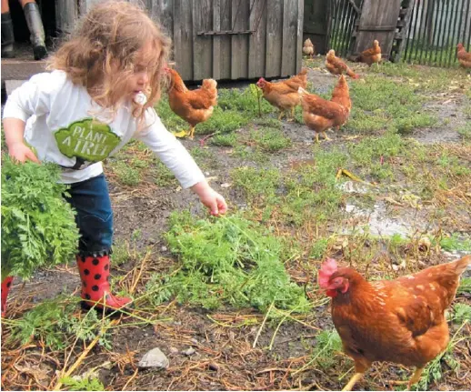  ??  ?? L’agrotouris­me est une façon simple et amusante de faire un retour à la terre.