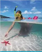  ?? and Peter W. Cross Patrick Farrell ?? Snorkeling in Florida Keys.