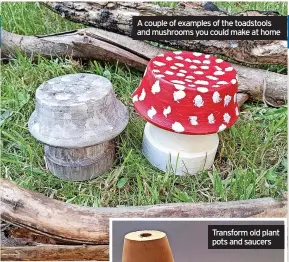  ??  ?? A couple of examples of the toadstools and mushrooms you could make at home