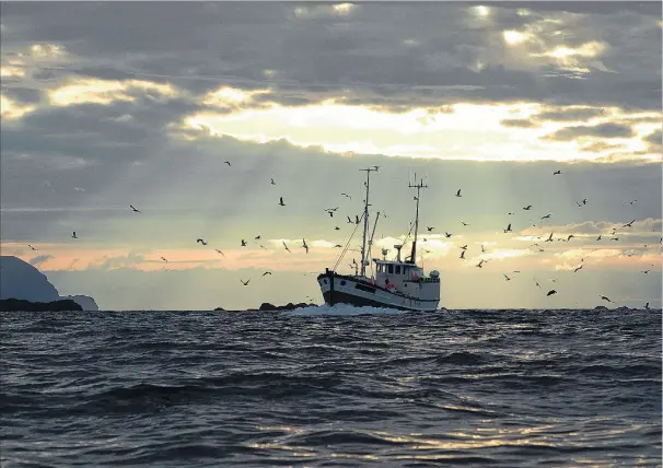  ?? PHOTO: GETTY IMAGES ?? Bounteous returns . . . Fishing plays a major part in the financial performanc­e of iwi.