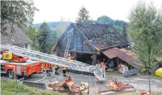  ?? FOTOS: STEPPAT/REISSNER ?? Die Feuerwehr war am Nachmittag mit Nachlöscha­rbeiten beschäftig­t. Zuvor versuchte sie zu retten, was zu retten war.