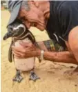  ?? Foto: Georg Ismar, dpa ?? João Pereira de Souza und Pinguin Dindim.