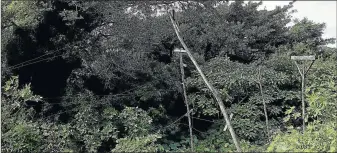  ??  ?? LIFE-THREATENIN­G: Some of the visible izinyoka cables that run through Amalinda Forest