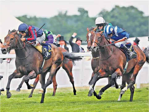  ??  ?? Knuckling down: The Tin Man and Tom Queally (left) hold off challenger­s to win the Diamond Jubilee yesterday