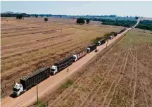  ??  ?? Gado reunido em fazenda de Sales, no interior paulista, (no alto), e o comboio de caminhões em direção a São Sebastião