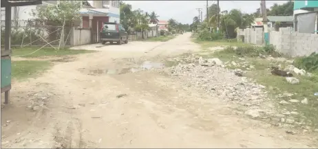  ??  ?? The part of the road where drivers are forced to use a part of a resident’s driveway in order to avoid the mud and rubble.