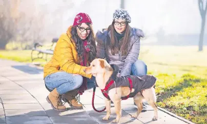  ??  ?? Leinen, Westen oder Brustgesch­irr: Hunde sollten gerade beim Gassi gehen im Dunkeln für alle gut sichtbar angezogen sein.