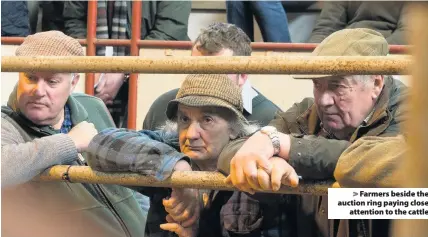  ??  ?? Farmers beside the auction ring paying closeatten­tion to the cattle