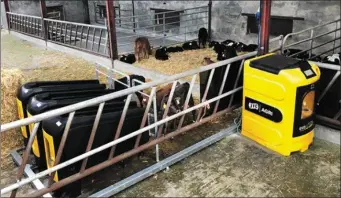  ??  ?? Farmer Cathal Garvey says the automatic feeder is crucial for getting the most out of his calves.