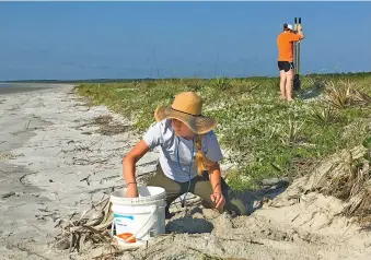  ?? GEORGIA DEPARTMENT OF NATURAL RESOURCES VIA AP ?? Avery Young, left, and Melissa Fry, relocate a sea turtle nest to a more protected site on Cumberland Island, Ga. The Georgia Department of Natural Resources says more than 2,890 loggerhead sea turtle nests have been counted this summer on beaches...