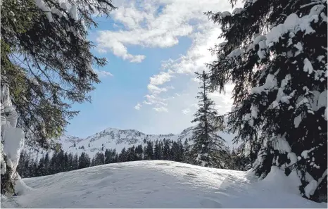  ?? FOTO: ULRICH WEIGEL ?? Mitten durch die unberührte Natur: Das lockt manchen Schneeschu­hläufer, Skitoureng­eher und Freerider. Doch für die Tierwelt und damit auch für den Wald sind solche Störungen schlecht.