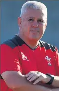  ??  ?? All good: Warren Gatland says it’s now down to the players