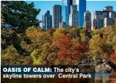  ??  ?? OASIS OF CALM: The city’s skyline towers over Central Park