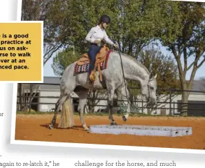  ??  ?? The bridge is a good obstacle to practice at home. Focus on asking your horse to walk steadily over at an even, balanced pace.