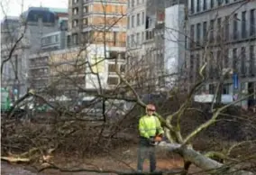  ?? FOTO JAN VAN DER PERRE ?? De bomenkap op de Leien.