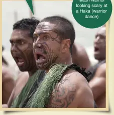  ??  ?? Maori warrior looking scary at a Haka (warrior dance)
