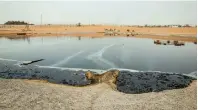  ??  ?? SKIM THE WASTE... Oil lagoons and industrial water evaporatio­n ponds separate oil and waste from water to reuse as per need.