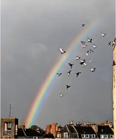  ?? ?? Birds and a beautiful rainbow in Bath. By Mike Thornberry.