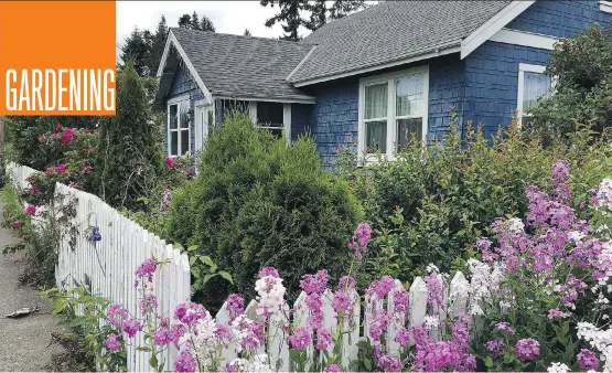  ?? PHOTOS: DONNA BALZER ?? Ensure your front yard fits the neighbourh­ood. If you live on a quirky lane, go for a “folksy” garden design, writes Donna Balzer.