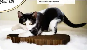  ?? ?? Show your cat—and your furniture— how much you love them with the Heart Scratcher from Americat Company. Made with heavy-duty cardboard, this double-sided scratcher is built for maximum durability to satisfy cats' natural scratching instinct. $30, AmericatCo­mpany. com