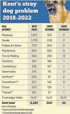  ?? ?? Latest figures show more than 3,000 unwanted dogs have been found in Kent since the beginning of 2018