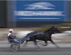  ?? MICHAEL BURNS FILE PHOTO ?? A group of Ontario standardbr­ed horse breeders is suing Ontario for $65 million over the abrupt cancellati­on of the Slots at Racetracks Program.