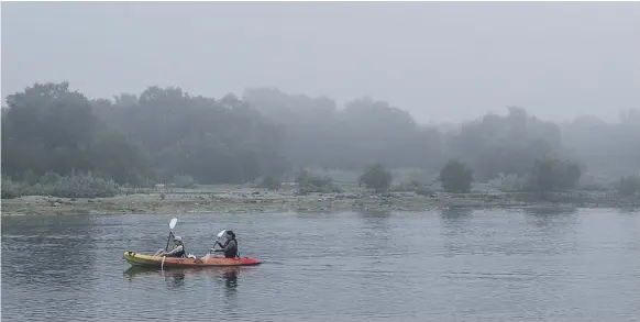  ?? Mona Al Marzooqi / The National ?? Kayaking is one way that visitors can enjoy the UAE’s mangrove forests without disturbing this delicate ecosystem