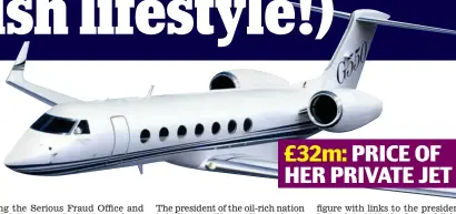  ??  ?? £32m: PRICE OF HER PRIVATE JET