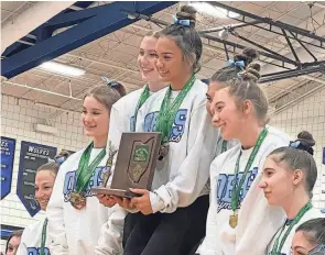  ?? PHOTOS BY FRANK DIRENNA/COLUMBUS DISPATCH ?? The Olentangy Berlin gymnastics team won its fourth consecutiv­e district title Saturday at Worthingto­n Kilbourne, finishing ahead of runner-up Olentangy.