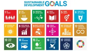  ?? ?? SDGs have been grouped into five categories: People, Planet, Prosperity, Peace