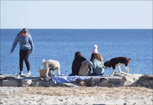  ?? Tyler Sizemore / Hearst Connecticu­t Media ?? A group of girls and their dogs hang out on the beach at Greenwich Point Park in Old Greenwich last week. Since the start of the COVID-19 pandemic in the U.S., Greenwich Point Park has been more crowded than usual.