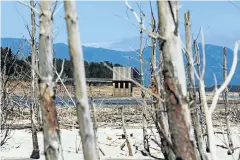  ??  ?? Theewaters­kloof dam near Villiersdo­rp was just 12.9% full this week.