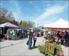  ?? JANET PODOLAK — THE NEWS-HERALD ?? Willoughby’s Saturday-morning Outdoor Market was one of the earliest to open this year.