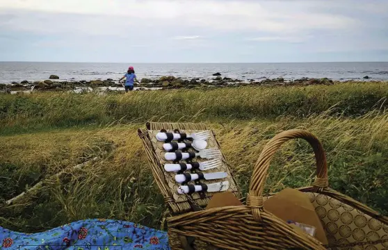  ??  ?? Clockwise from ABOVE: A picnic scene on Gros Morne National Park’s Coastal Trail, a regular stop for Taste of Gros Morne tours; Four Seasons Tours’ Darren Park cooks mussels on a Bay of Islands beach; dining alfresco with Taste of Gros Morne at Lobster...