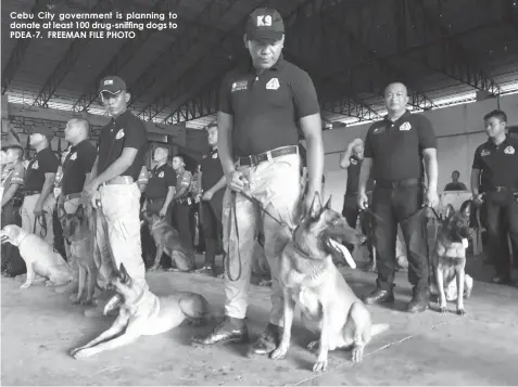  ??  ?? Cebu City government is planning to donate at least 100 drug-sniffing dogs to PDEA-7. FREEMAN FILE PHOTO