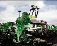  ??  ?? Earth Rover: targets weeds with lasers